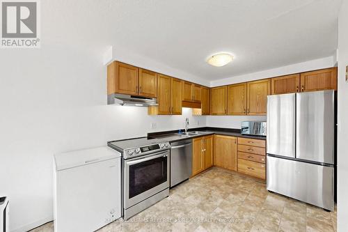38 Activa Avenue, Kitchener, ON - Indoor Photo Showing Kitchen With Stainless Steel Kitchen
