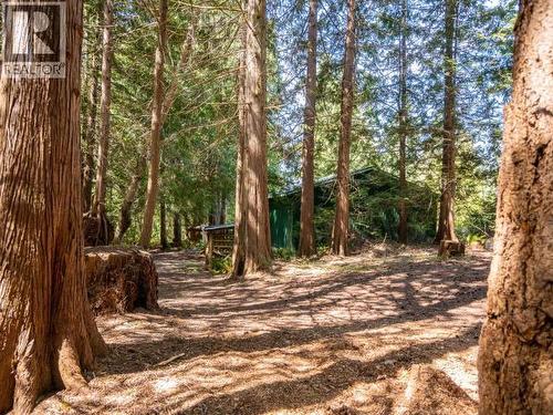 9350 Malaspina Rd, Powell River, BC - Outdoor With View