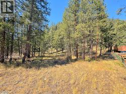 LOT 1 Old Hedley Road Princeton, BC V0X 1W0