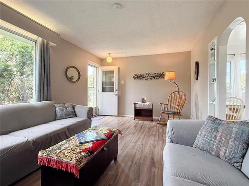 1043 7Th Street, Brandon, MB - Indoor Photo Showing Living Room