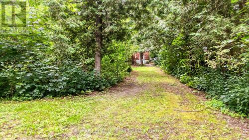 3 B1 Road, Rideau Lakes, ON - Outdoor