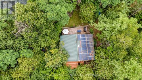 3 B1 Road, Rideau Lakes, ON - Outdoor
