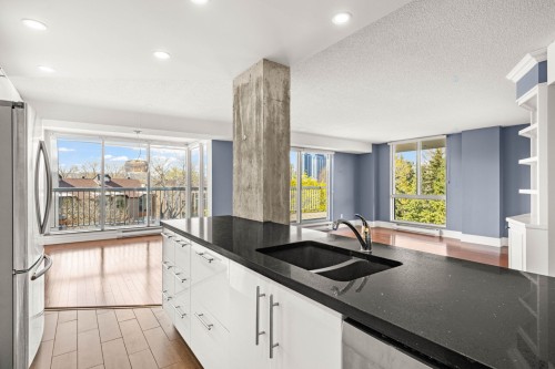 Cuisine - 301-30 Rue Berlioz, Montréal (Verdun/Île-Des-Soeurs), QC - Indoor Photo Showing Kitchen With Double Sink