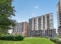 Front of Structure - 