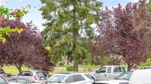 #101-10431 Resthaven Dr, Sidney, BC - Outdoor