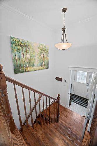 9 Capulet Street, St. John'S, NL - Indoor Photo Showing Other Room