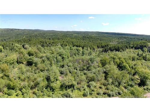 - Old Gardner Creek Rd, Rowley, NB - Outdoor With View