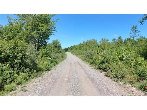 - Old Gardner Creek Rd, Rowley, NB - Outdoor With View