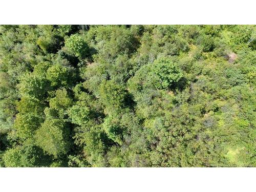- Old Gardner Creek Rd, Rowley, NB - Outdoor