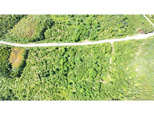 - Old Gardner Creek Rd, Rowley, NB - Outdoor