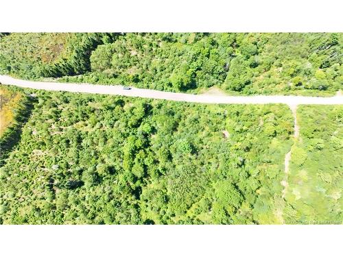 - Old Gardner Creek Rd, Rowley, NB - Outdoor