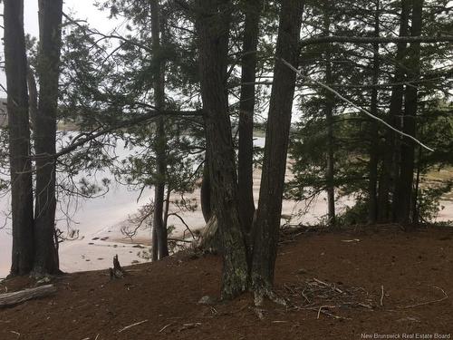 - Ledge Rd, Saint Stephen, NB 