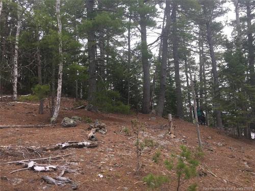 - Ledge Rd, Saint Stephen, NB 