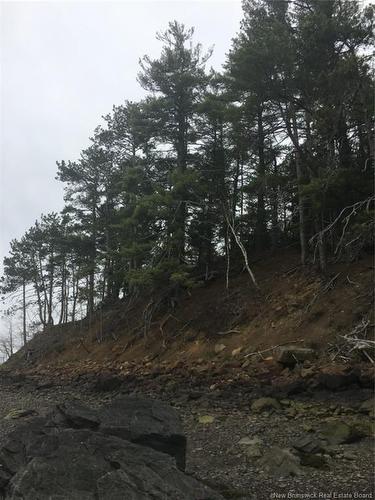 - Ledge Rd, Saint Stephen, NB 
