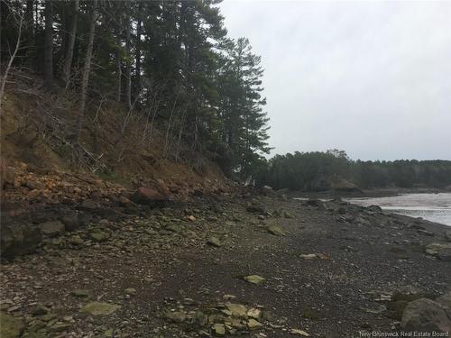 - Ledge Rd, Saint Stephen, NB 