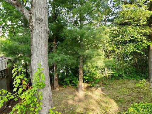 57 Fairway Blvd, Riverview, NB 