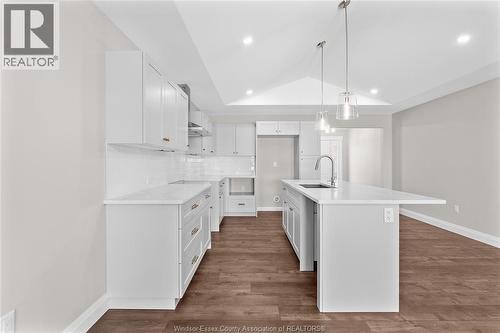 210 Angelo, Lasalle, ON - Indoor Photo Showing Kitchen With Upgraded Kitchen