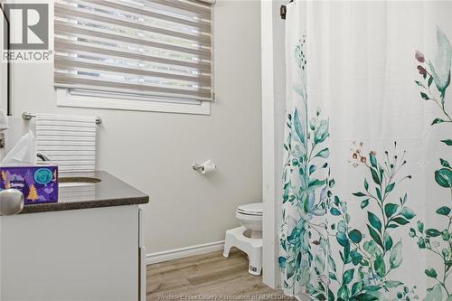 372 Lincoln Road Unit# 2, Windsor, ON - Indoor Photo Showing Bathroom