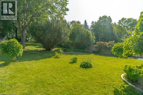Expansive lawn area with mature trees and established shrubbery - 64 Warren Road, Kitchener, ON - Outdoor