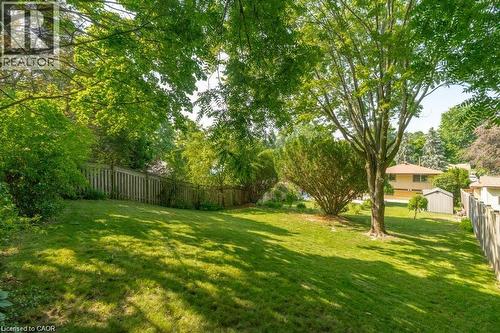 Expansive backyard featuring a lush lawn, mature trees, and privacy fencing - 64 Warren Road, Kitchener, ON - Outdoor