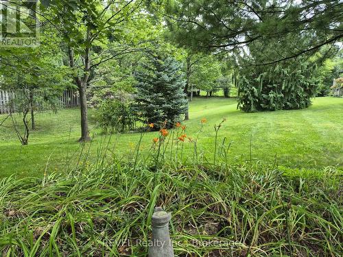 Common area on the grounds of 139 Glendale Ave. - 1 - 139 Glendale Avenue, St. Catharines (Glendale/Glenridge), ON - Outdoor