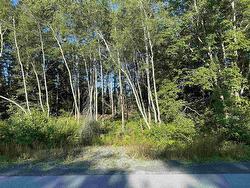 Lot 14 Eastern Shore Road Port Medway, NS B0J 2T0