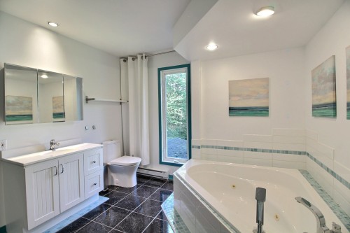 Salle de bains - 550 Rue Gilbert, Saint-Denis-De-Brompton, QC - Indoor Photo Showing Bathroom