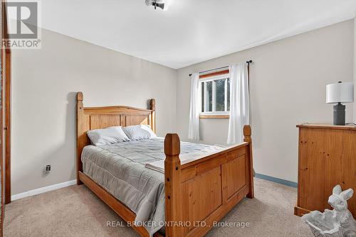 Plush carpet floor complements neutral wall tones - 312 Old Guelph Road, Hamilton, ON 