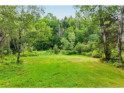 6558 Route 10, Upper Salmon Creek, NB 