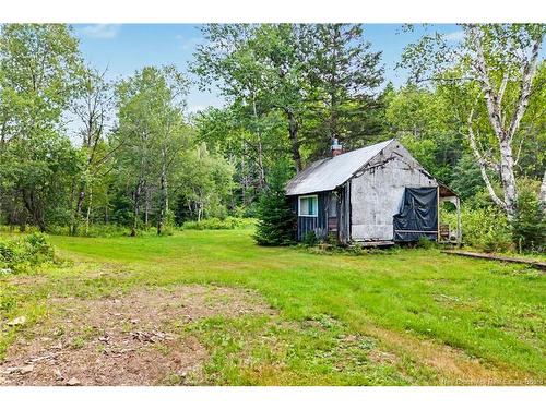 6558 Route 10, Upper Salmon Creek, NB 