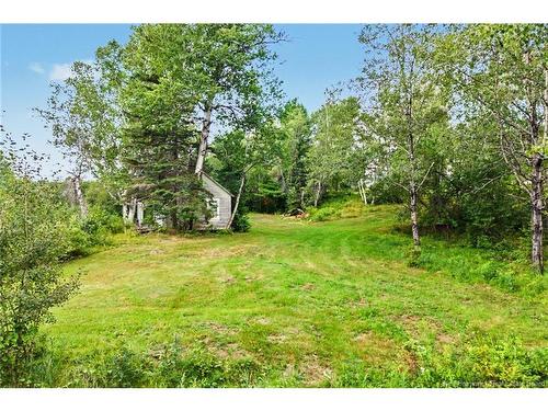 6558 Route 10, Upper Salmon Creek, NB 