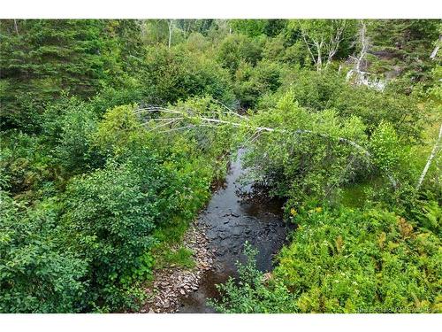 6558 Route 10, Upper Salmon Creek, NB 