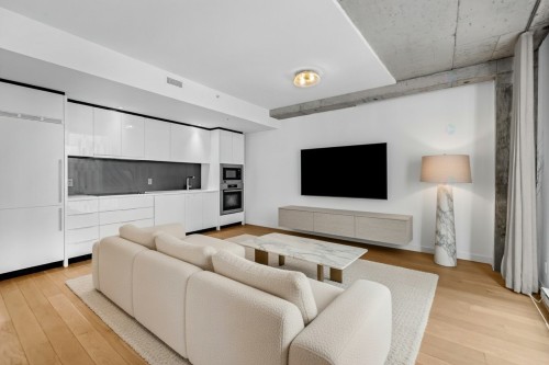 Living Room - 301-221 Rue St-Jacques, Montréal (Ville-Marie), QC - Indoor Photo Showing Living Room