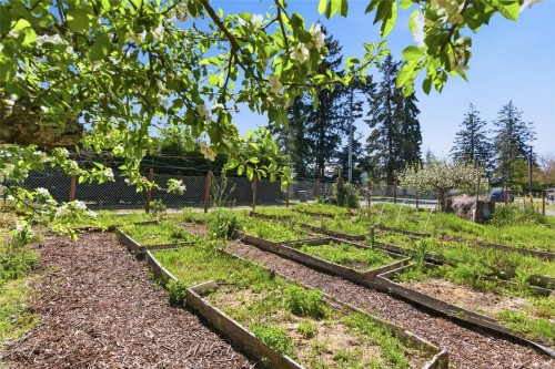 590 Willow St, Parksville, BC 