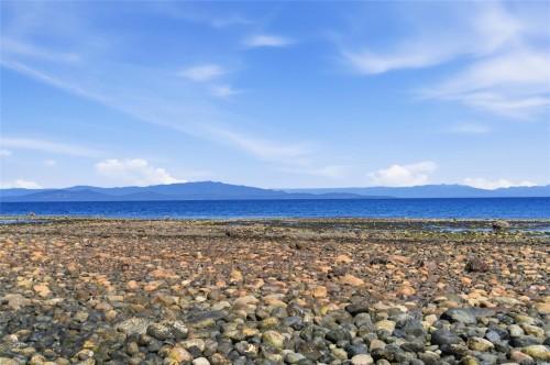 590 Willow St, Parksville, BC 