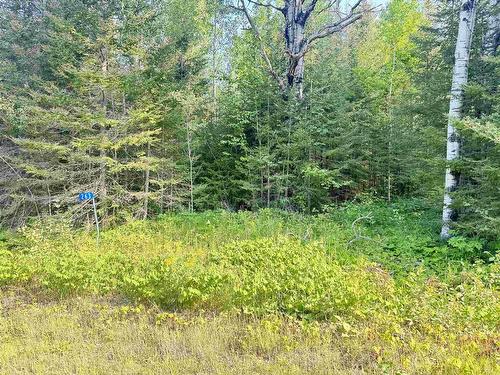 263 Cloud River Road E, Neebing, ON 