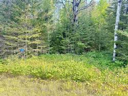 263 CLOUD RIVER Road E Neebing, ON P7L 0A9