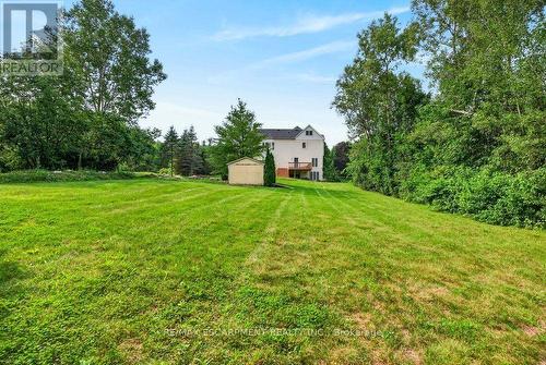 Backyard view - 110 Concession 11 Road E, Hamilton, ON - Outdoor