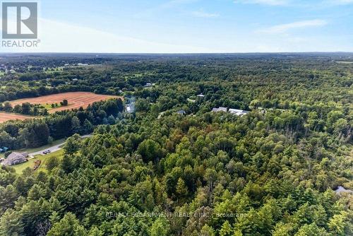Treed back lot - 110 Concession 11 Road E, Hamilton, ON - Outdoor With View