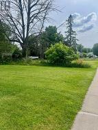 Part of the vacant lot next to garage - 