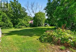 Beautiful vacant lot - 