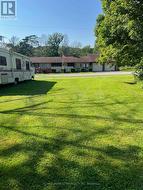 Vacant lot next to the garage with mature trees - 