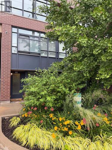 Townhouse exterior with landscaped garden. - Th3 - 11 Superior Avenue, Toronto (Mimico), ON - Outdoor