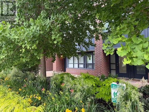 Front entrance of townhouse, Lush  beds flowers. - Th3 - 11 Superior Avenue, Toronto (Mimico), ON - Outdoor