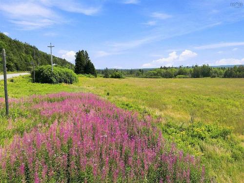 10834 209 Highway, Wharton, NS - Outdoor With View
