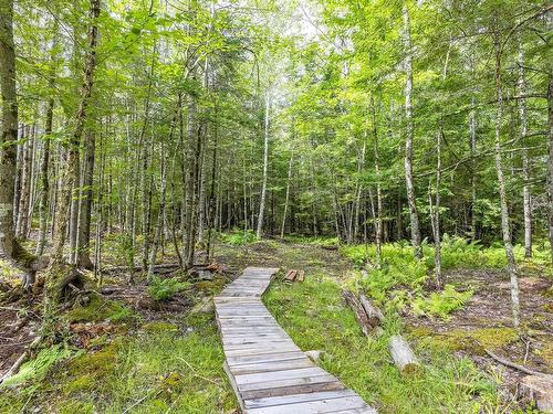 38 Coulter Crescent, Oakfield, NS - Outdoor With View