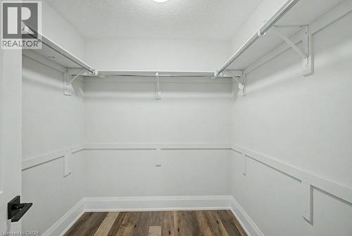 Walk-in closet with wood-finish flooring, white walls, and built-in shelving - 31 Fourth Avenue, Kitchener, ON - Indoor With Storage