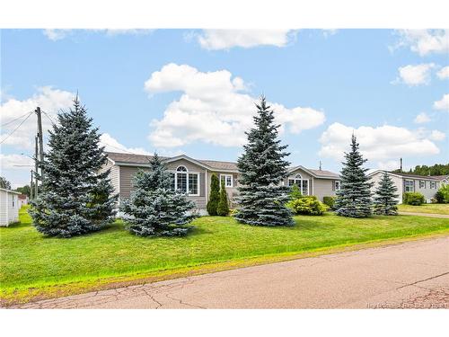 9 Blue Ash St, Moncton, NB 
