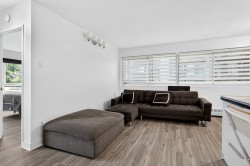 Salon - 