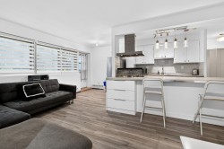 Salon - 